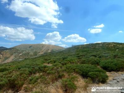 Loma del Noruego; Pinares Valsaín; rutas madrid senderismo;excursiones organizadas desde madrid